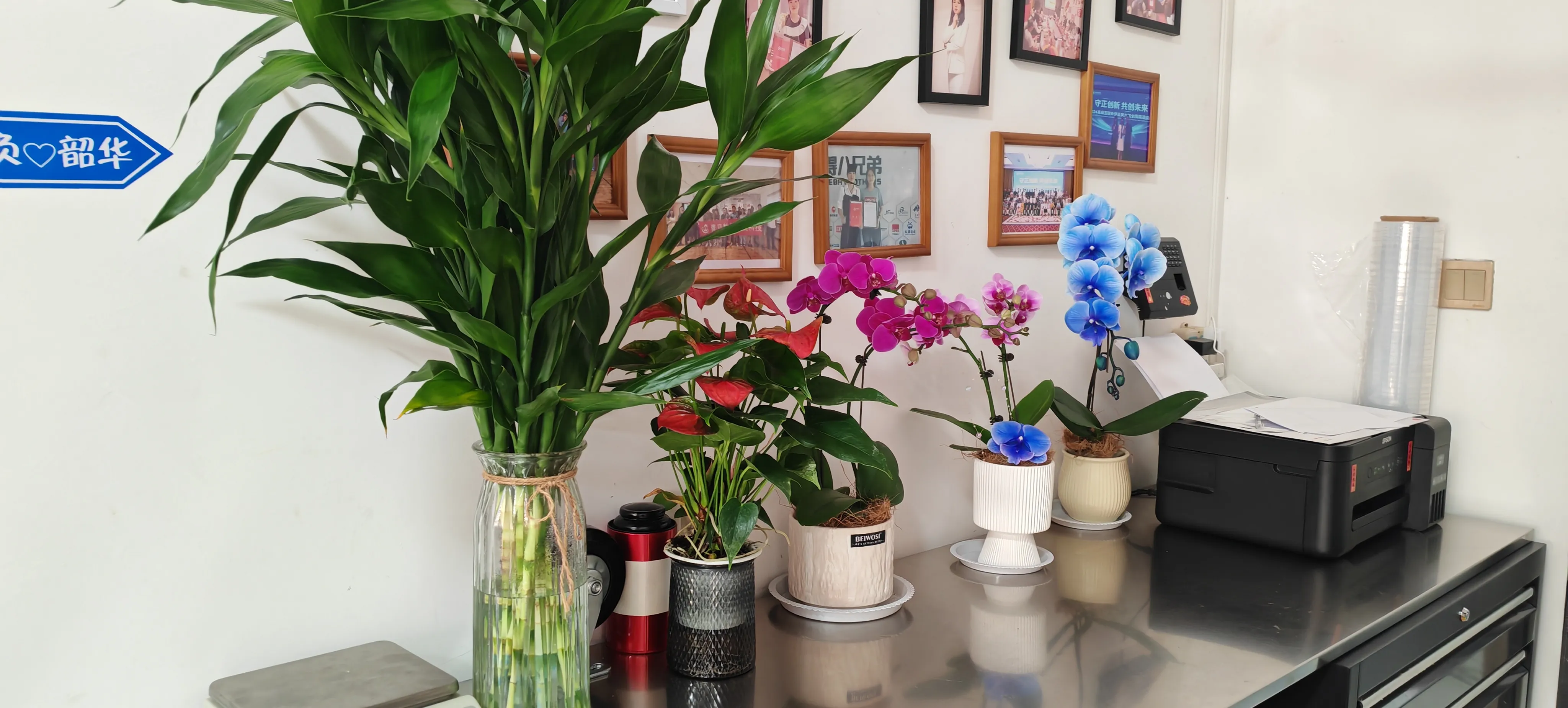 Välkommen till JOJO Packs nya vänner!