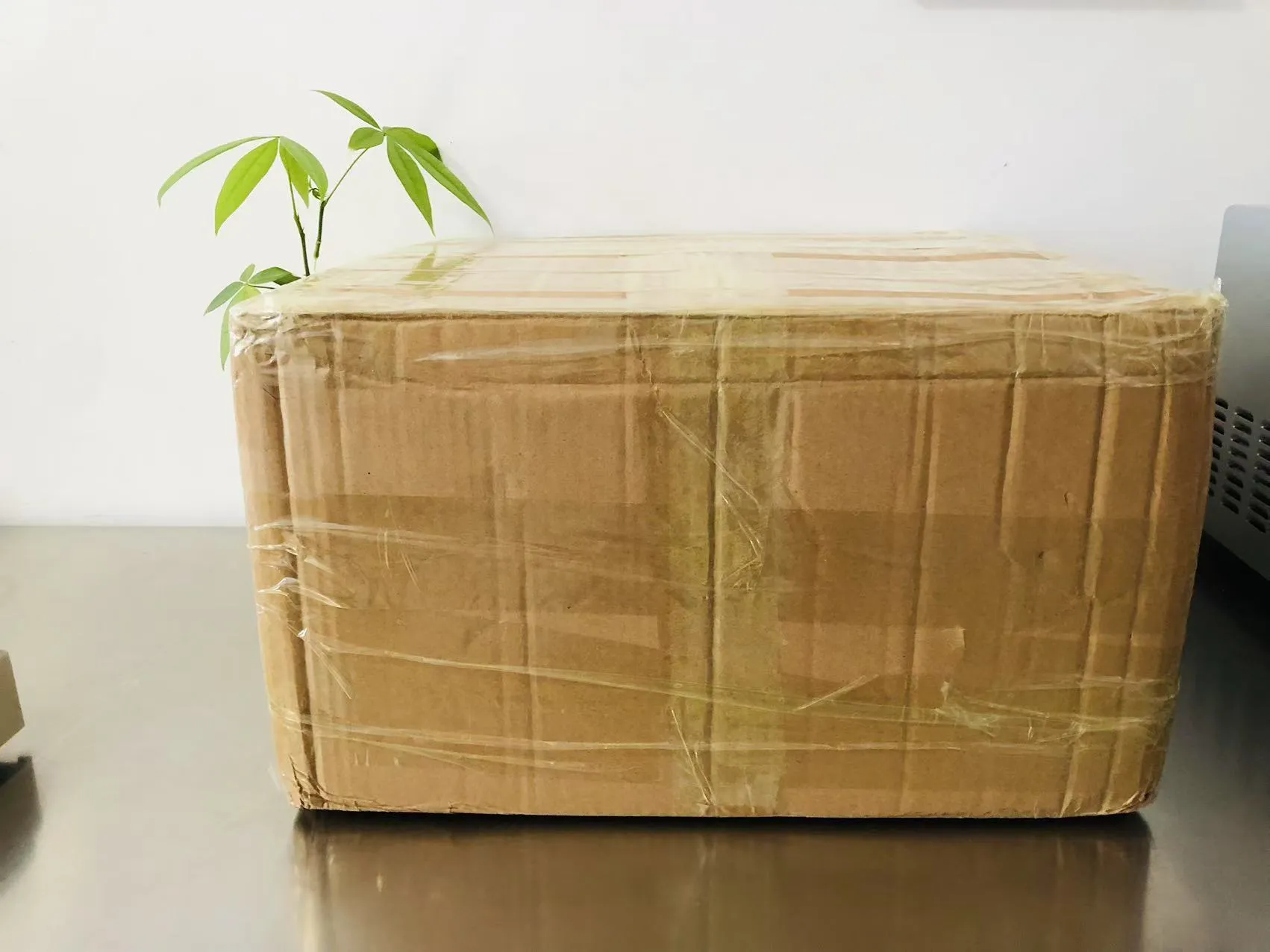 Tecknad solid epoxiklistermärke nu på väg till Japan